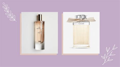 fragrances similar to chloe|zara chloe dupe.